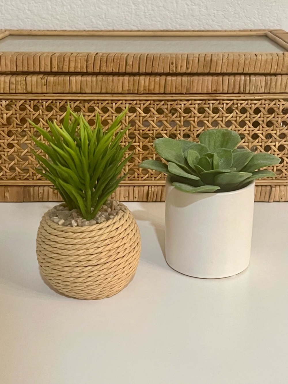 Mini Plant Succulents Home Decor Bundle Set